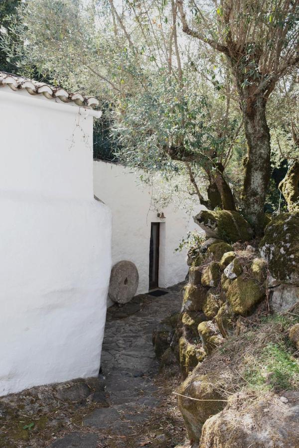 Serra Vida - A Place Of Presence Santo António das Areias Екстериор снимка