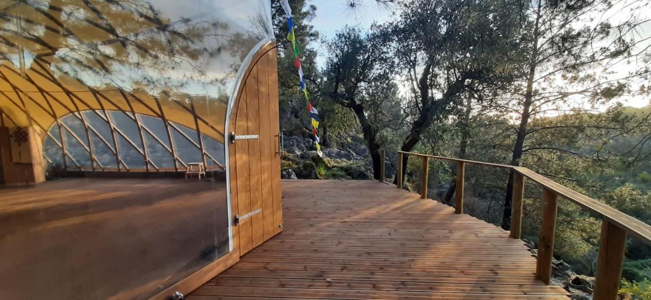 Serra Vida - A Place Of Presence Santo António das Areias Екстериор снимка