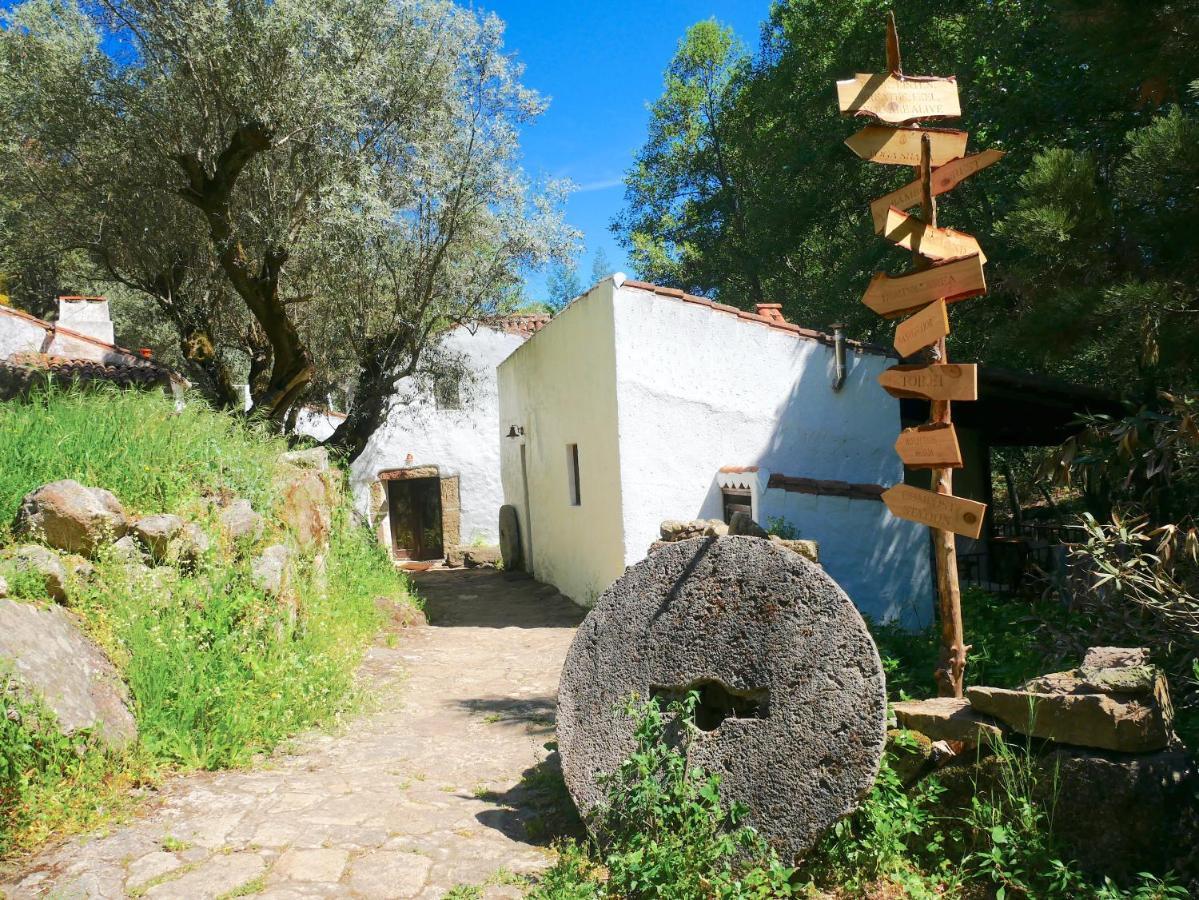 Serra Vida - A Place Of Presence Santo António das Areias Екстериор снимка