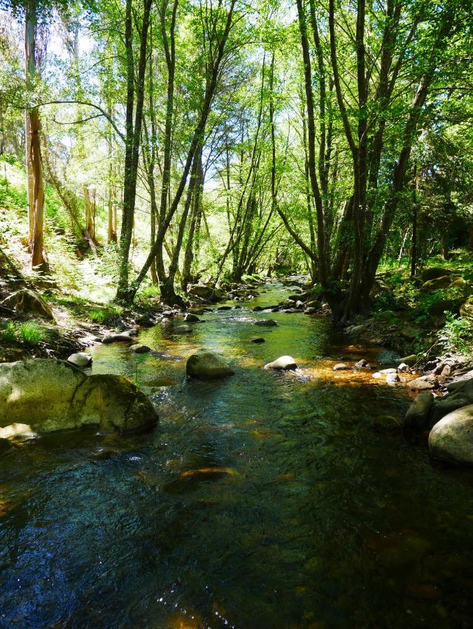 Serra Vida - A Place Of Presence Santo António das Areias Екстериор снимка