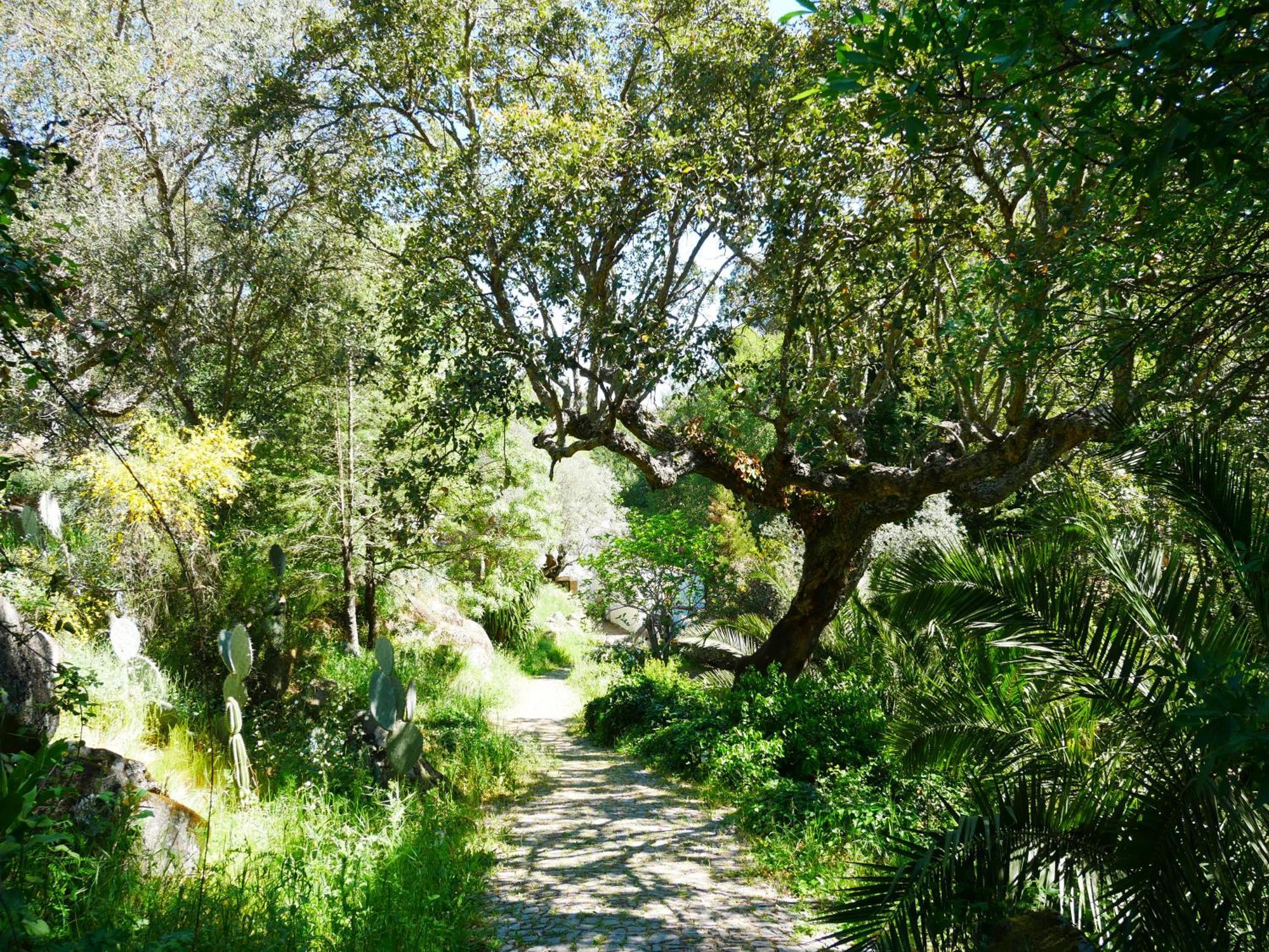 Serra Vida - A Place Of Presence Santo António das Areias Екстериор снимка