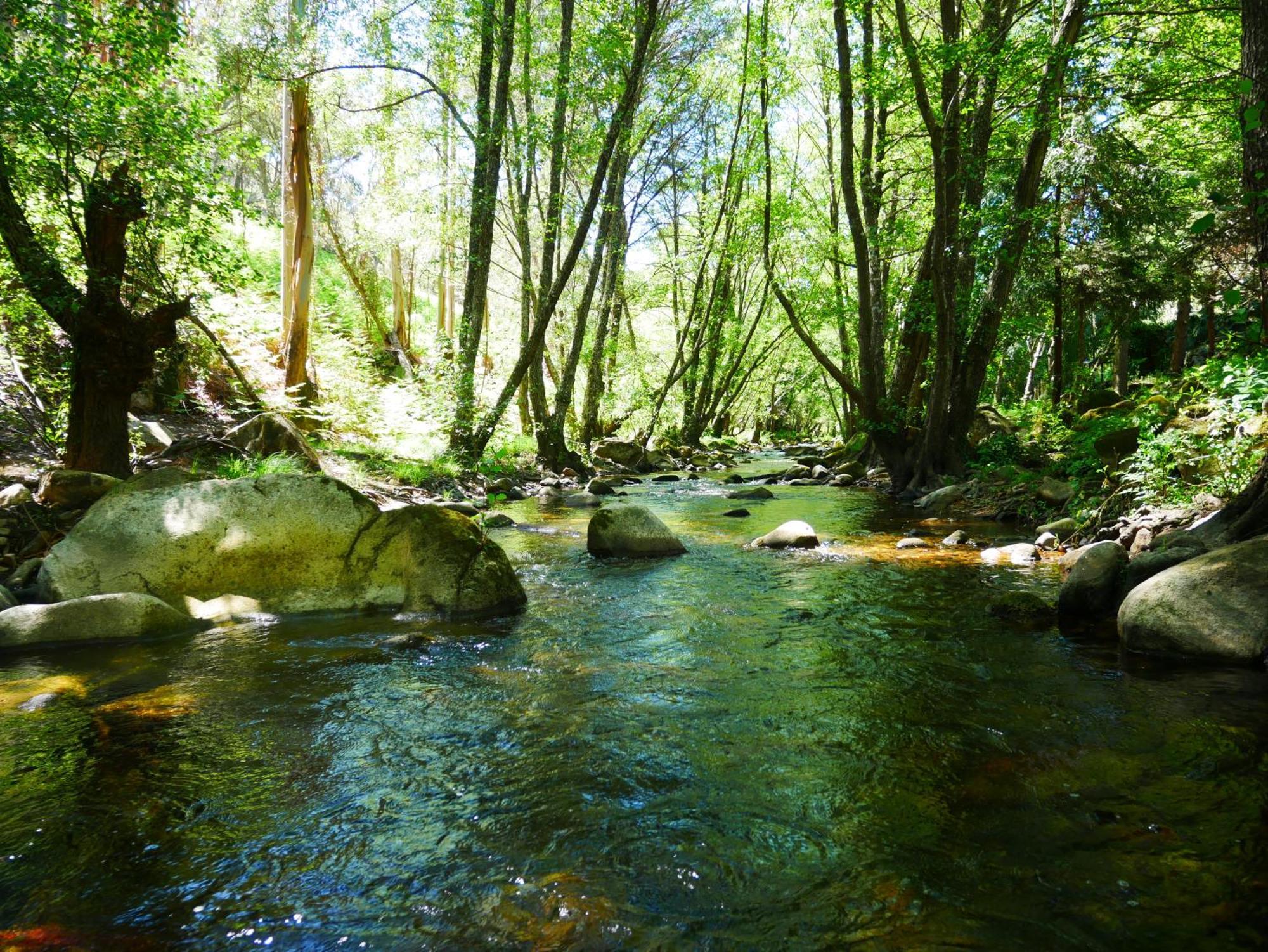 Serra Vida - A Place Of Presence Santo António das Areias Екстериор снимка